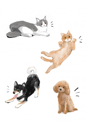 スクリーンショット 2025-08-19 19.42.39